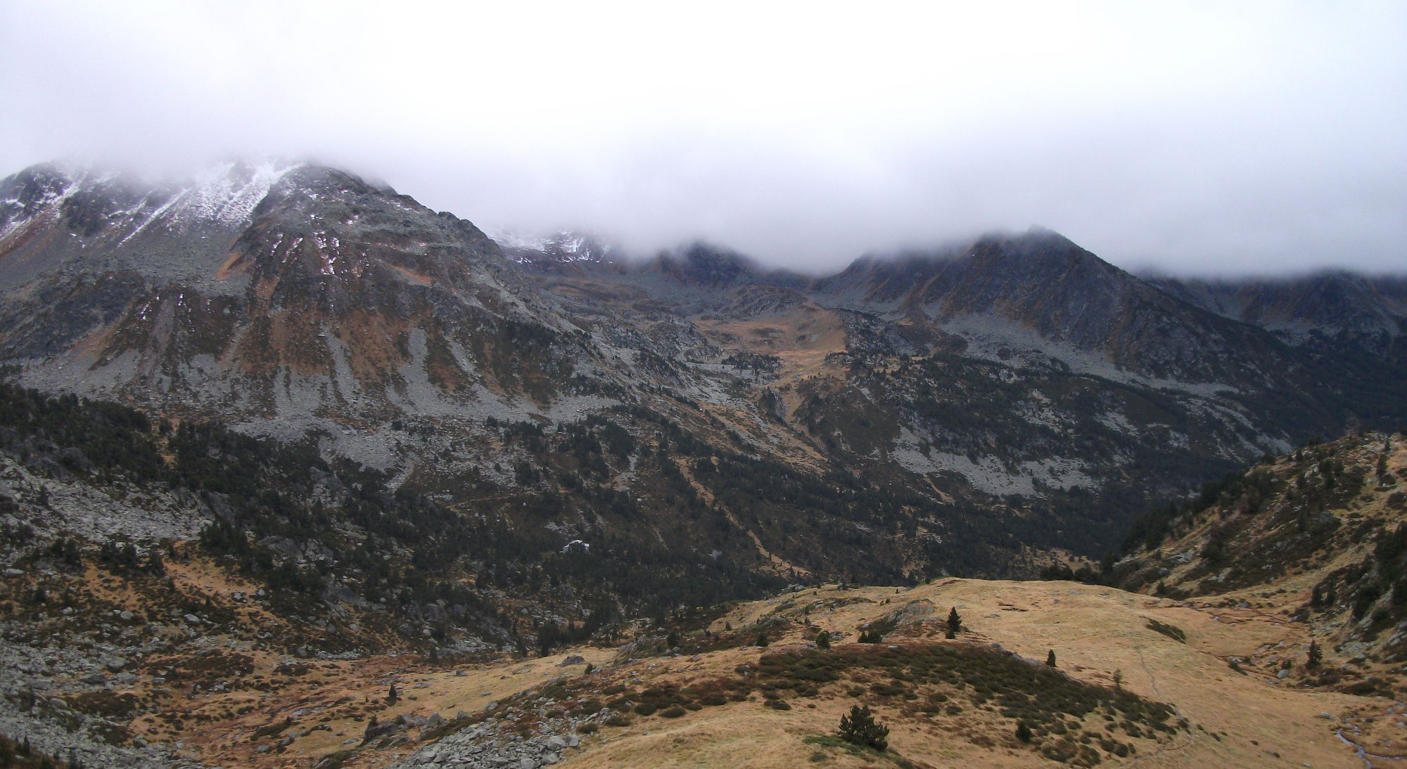 Pyrenees