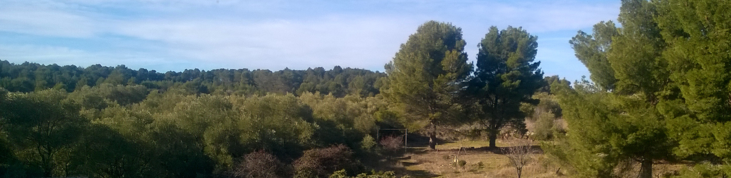 View terrace garrigue