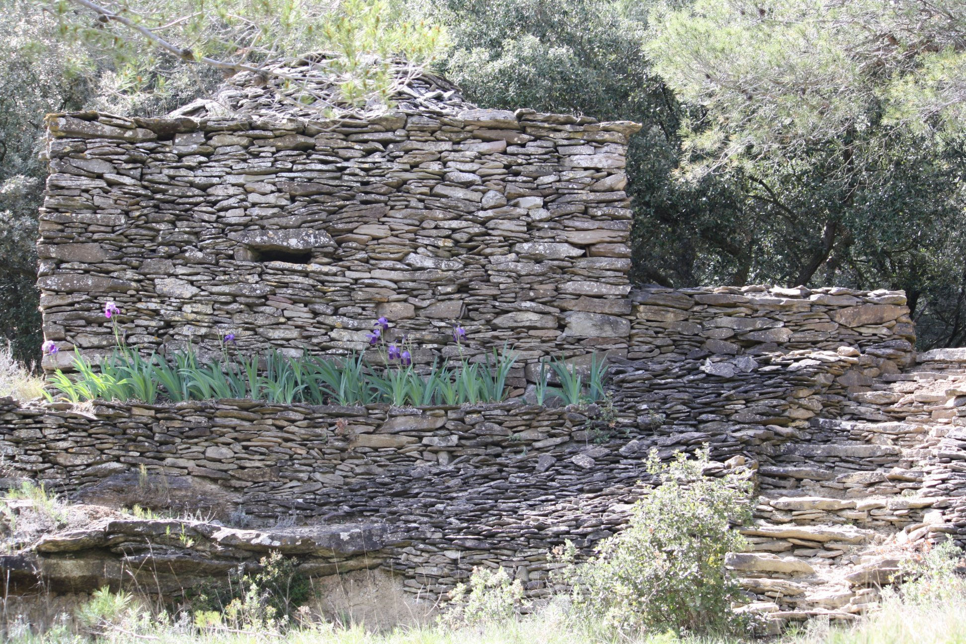 Un capitelle