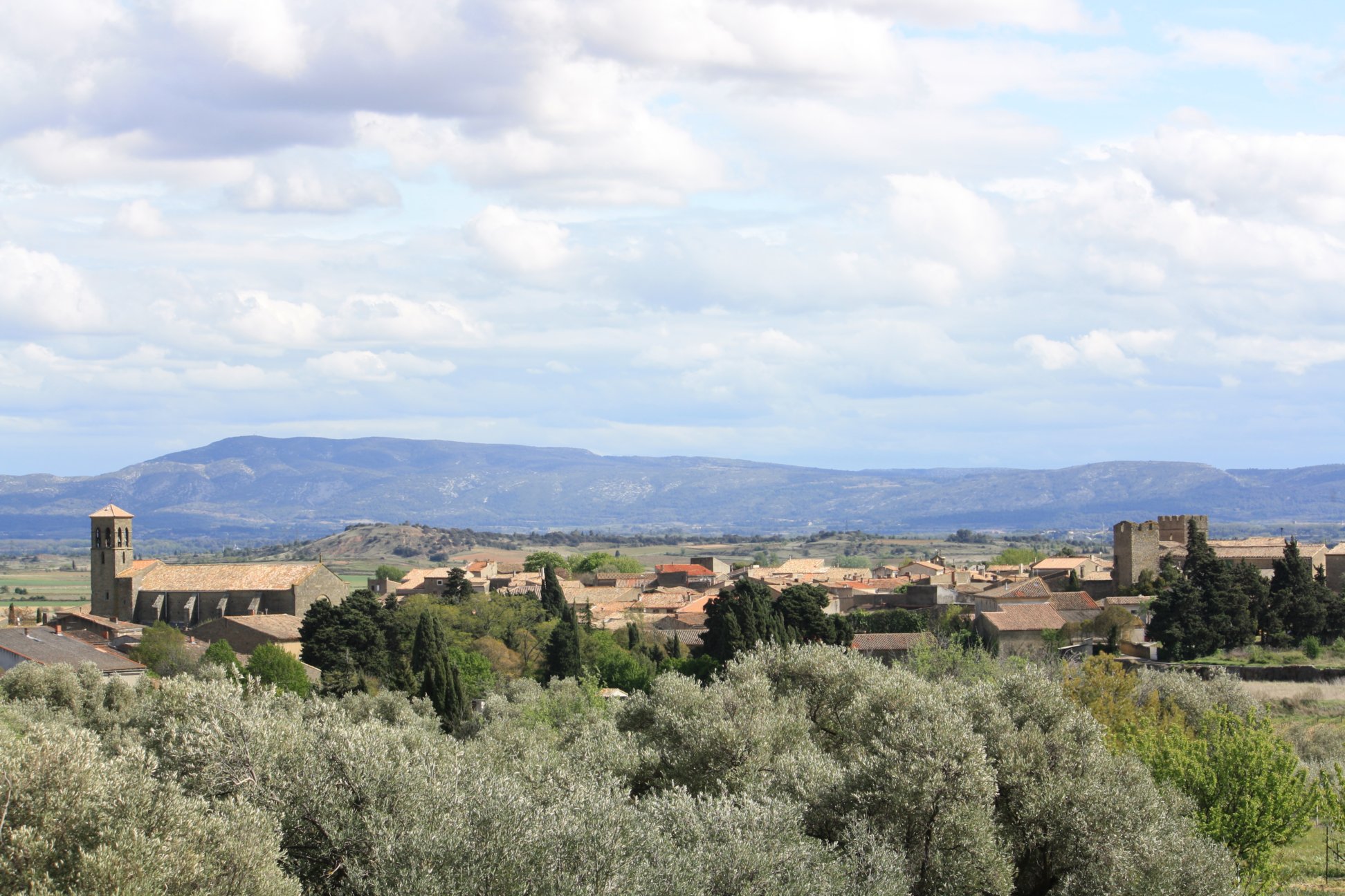 View across olive groves towards town